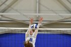 Volleyball vs Babson  Wheaton Women's Volleyball vs Babson College. - Photo by Keith Nordstrom : Wheaton, Volleyball, VB